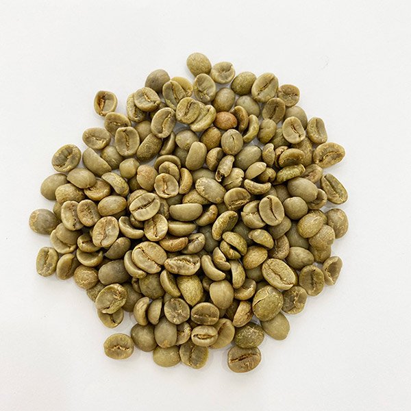 Robusta Coffee Bean Grade 3
